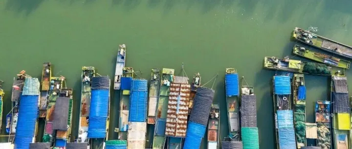 【汇易视角】秘鲁中北部捕鱼显回升，近期外盘鱼粉成交淡静