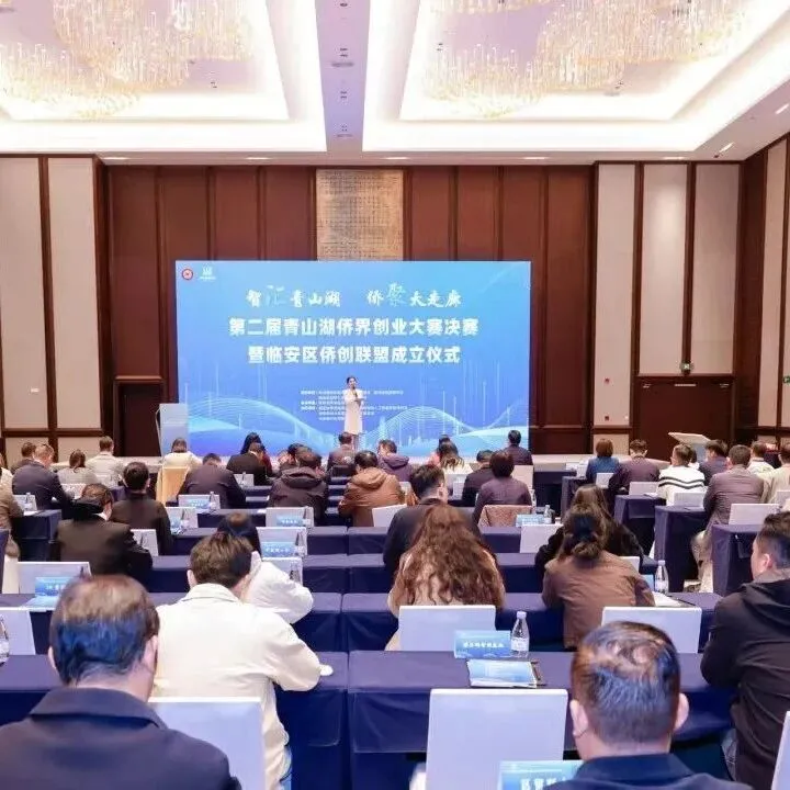 青山湖科技城侨联在杭州市侨联基层组织建设推进会上作交流发言