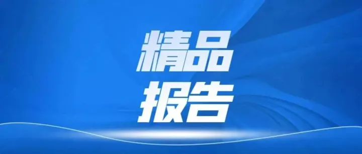 “十五五”中国未来产业之卫星互联网产业趋势预测及投资机会研究报告