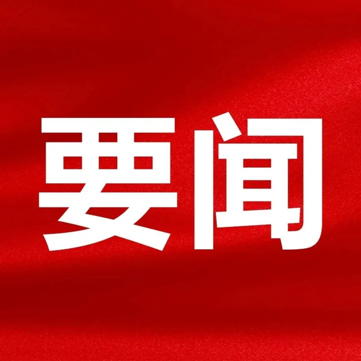 决胜“十四五” 迈向“十五五” | 不止于“快”！工业年均增速22.5%背后的“新区密码”