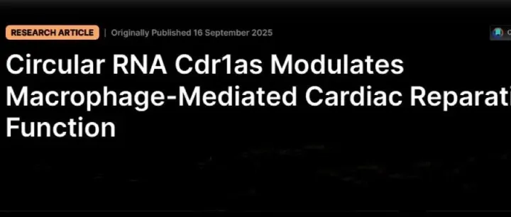 客户文章|揭示环状RNA作为心脏炎症调控与组织修复关键因子的全新机制