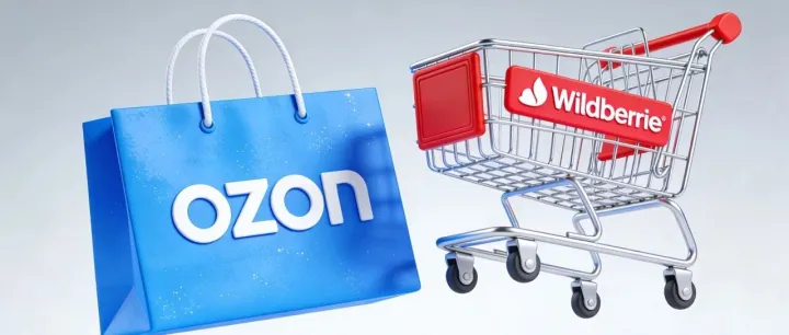 俄罗斯电商二选一：Ozon还是Wildberries？搞懂这一点，别让你的货和钱跑偏！