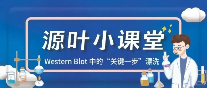 【源叶】<em>小</em>课堂——Western Blot <em>中</em><em>的</em>“关键<em>一步</em>”漂洗
