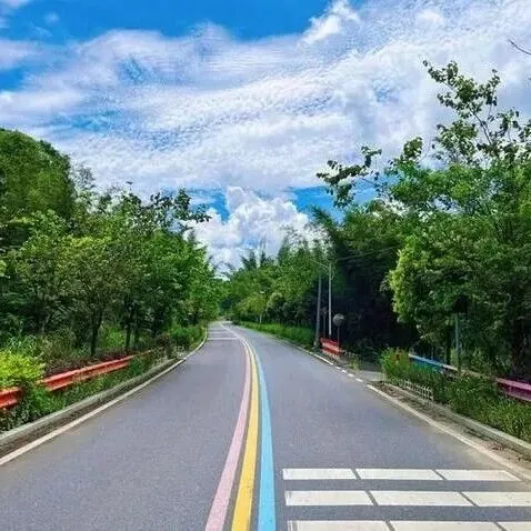 丽水项目 | 网格巡查“耳聪目明”，守护市民“脚下安稳”