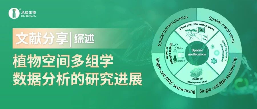 文献分享│综述-植物空间多组学数据分析的研究进展- 大数跨境