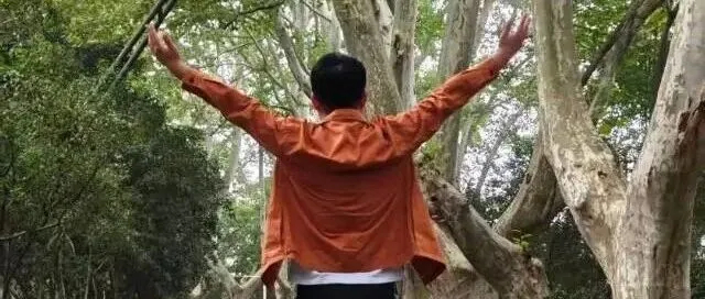 公众号流量主快速入池、快速被推荐技巧整理，99%的人都没搞明白