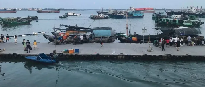 <em>东南亚</em>订单爆了