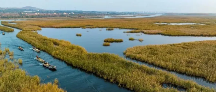 以风为笔，绘就冬日清欢