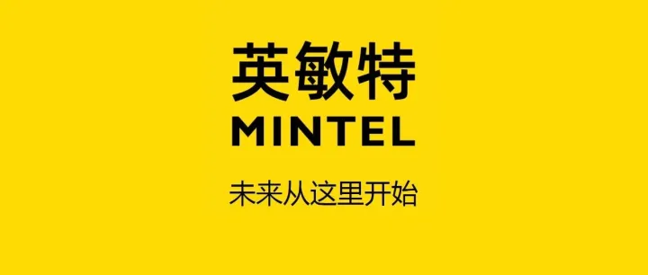 关于英敏特 <em>About</em> Mintel
