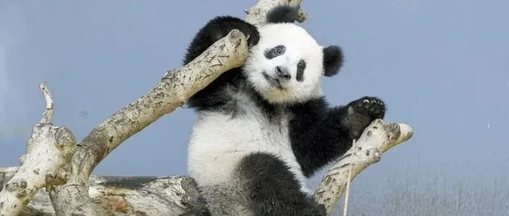 让我再看你一眼