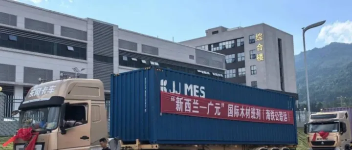 剑指30亿贸易额！四川广元打造国际木材贸易高地