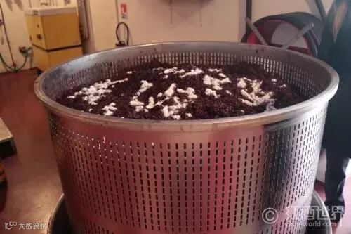 史上最全红葡萄酒酿造过程(附高清实景图)