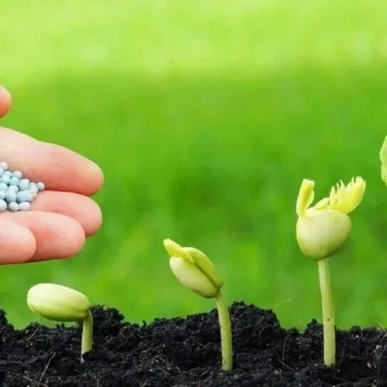 市面主流菌肥怎么选？点击了解4种主流工艺优缺点与物理辨别技巧！