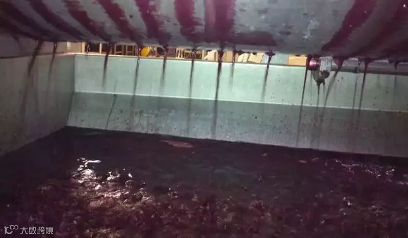 史上最全红葡萄酒酿造过程(附高清实景图)