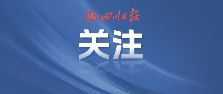 华为终端公司董事长调整
