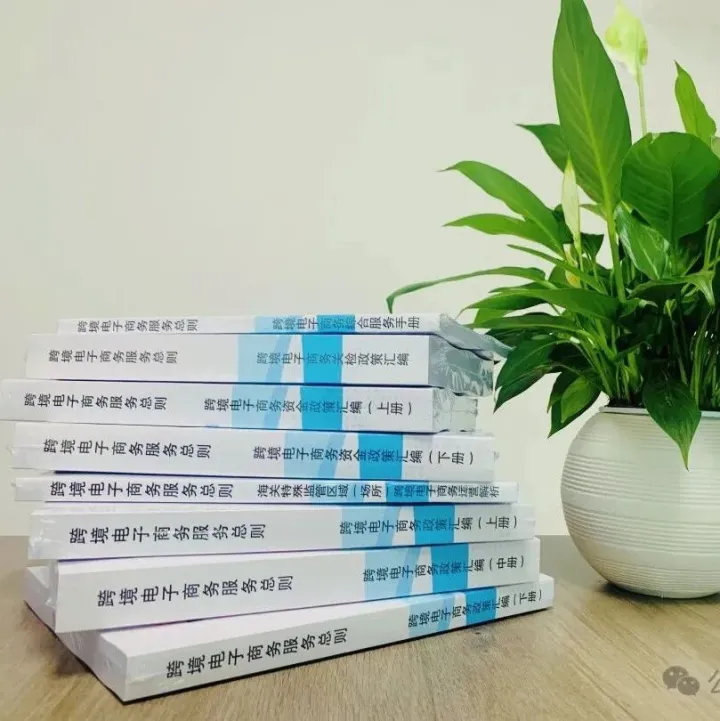 《跨境电子商务服务总则》