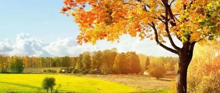 Day 308 排名稳了，涨价反而更好卖