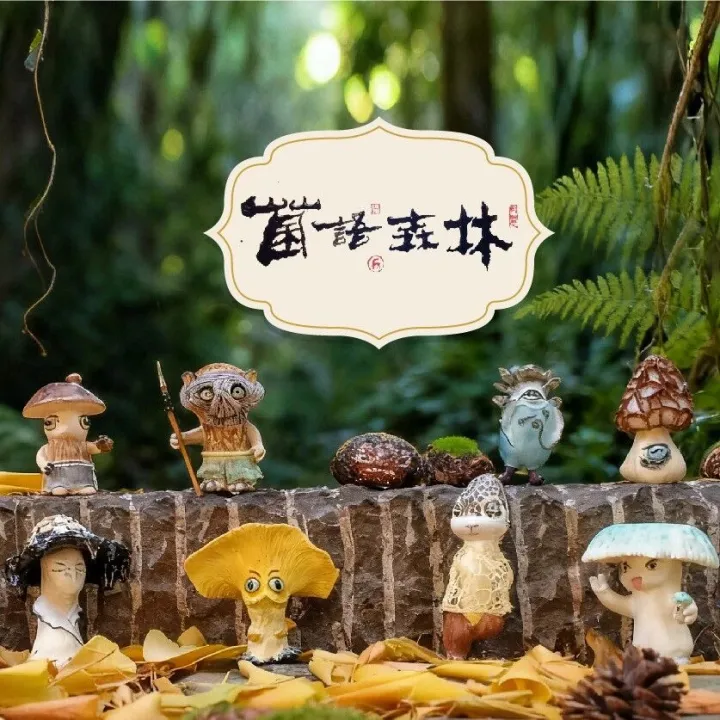 云南菌子成精！松茸王带队的野生菌盲盒太有梗