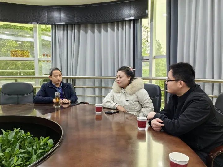 四川省鸿蒙公司向长宁县政府汇报工作