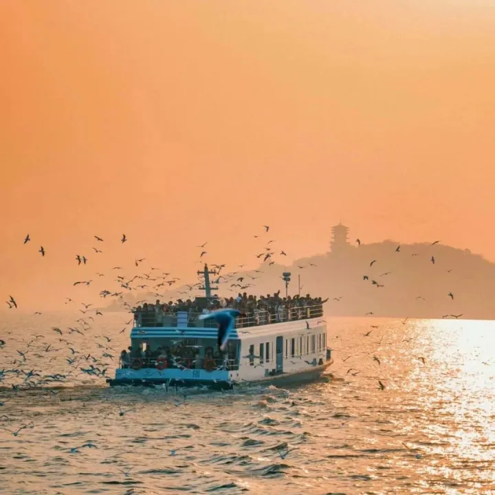 快来鸥遇<em>橘子</em>海！