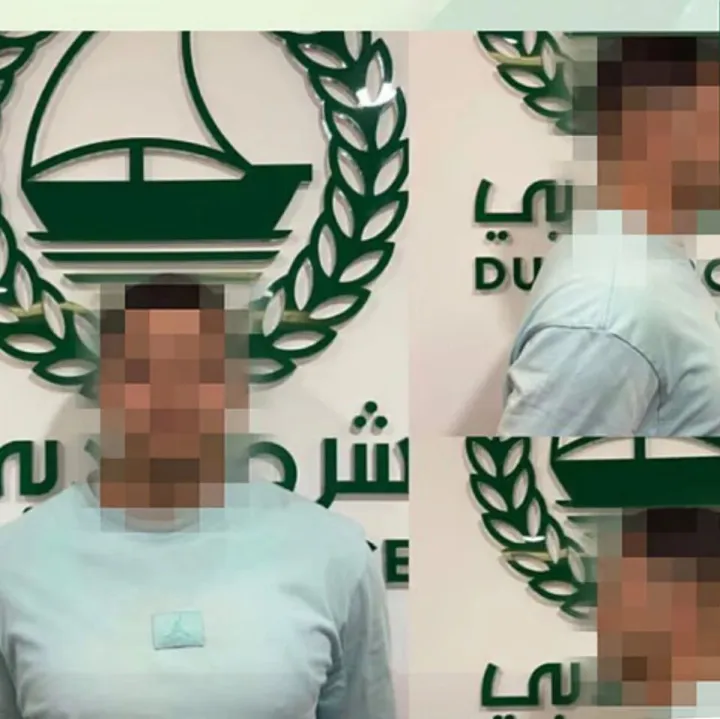 迪拜警方逮捕<em>塞尔维亚</em>籍欧洲高危跨国犯罪<em>集团</em>头目