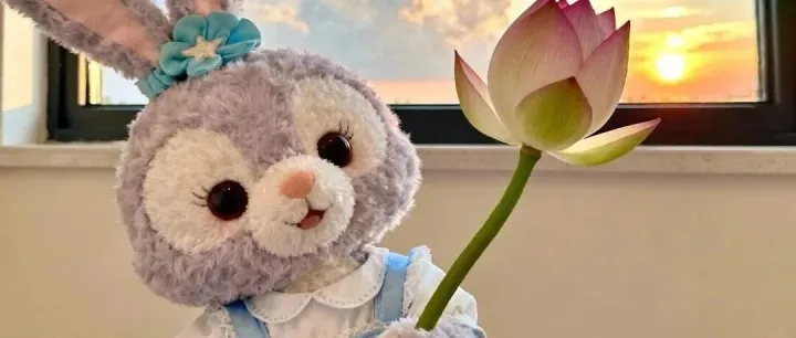 ₊˚‧给微信昵称+爱心‧˚₊