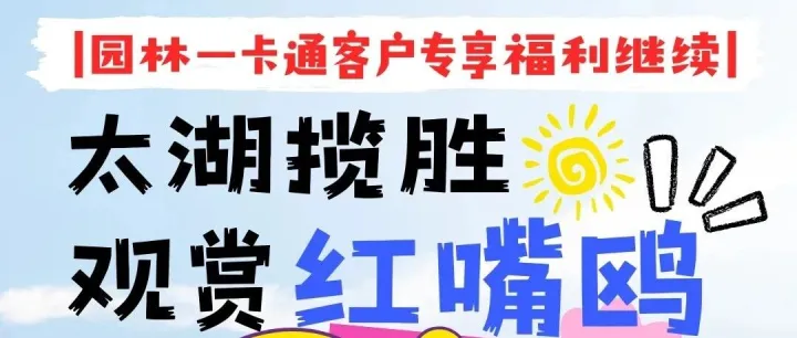 园林一卡通客户福利继续|太湖揽胜观赏红嘴鸥 游览大拈花湾、丁蜀古南街