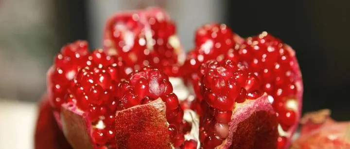 这种拥有“红宝石”籽粒的水果竟能“续命”！最新研究：石榴中的天然化合物尿石素A，可减缓免疫衰老；石榴皮中的多酚提取物能守护心脏