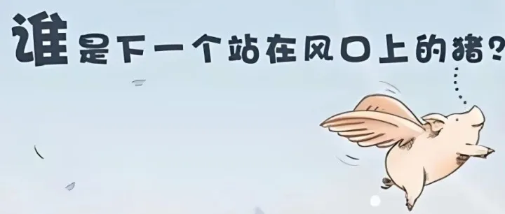 5%关税+左舵刚需！卡塔尔6.24亿二手车市场，中国车商速冲