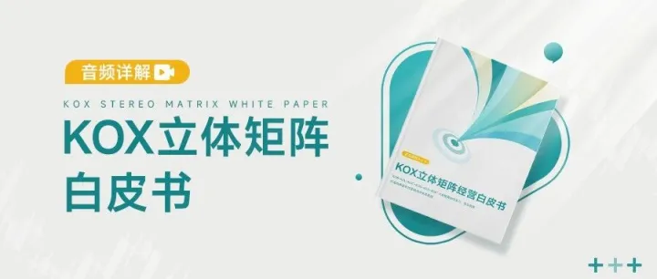知家DTC播客上线丨破解增长难题：49分钟听懂KOX立体矩阵，实现品效销合一体系闭环