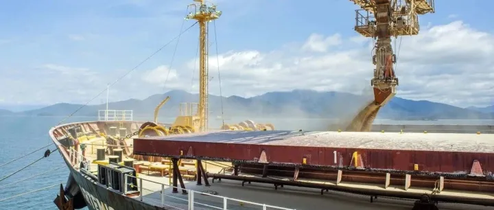 預(yù)計中國2026年大豆進(jìn)口量將創(chuàng)新高！