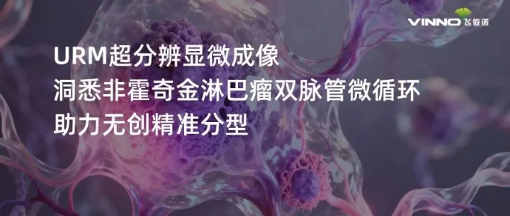 重磅！URM实现非霍奇金淋巴瘤双脉管微循环定量分析，助力无创精准分型