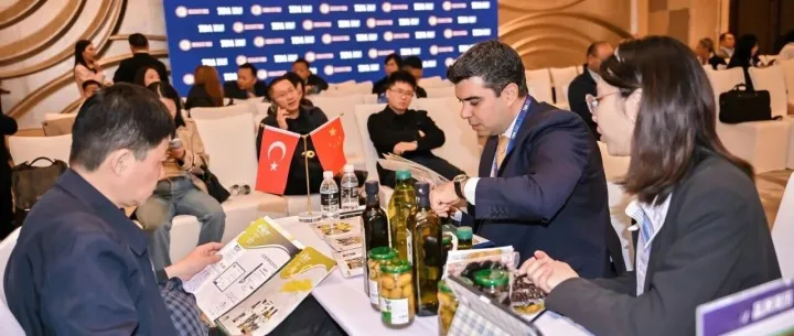 活动回顾 | 链接中土产业链，深化双向合作，“进博会同期·土耳其优质企业B2B对接会”圆满落幕