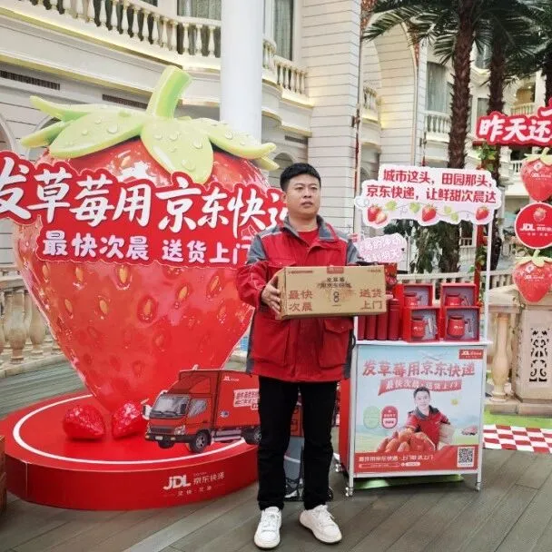 【聚焦】全国超200城次日达，京东物流提速丹东草莓