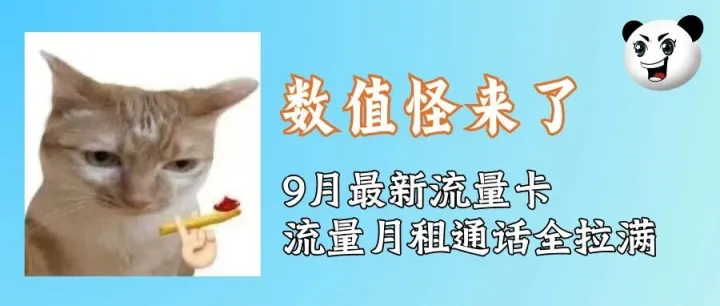 最新堆料榜一？222G数值怪流量卡有多猛？全国流量、网速、通话全拉满！| 9月流量卡测评