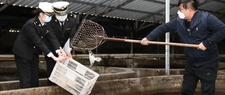 土耳其TROIS系统实施新规（关于动物源性食品进口企业注册）