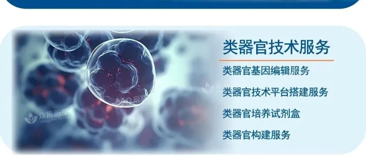 【众辰医学・整体课题服务】