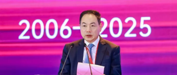 先导集团王燕清：以“极限智造”重构TWh时代制造标准