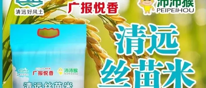 【广报甄选】清远丝苗米，米中碧玉香满仓~粒粒分明的香米送上门，还送鲜香五谷蛋！