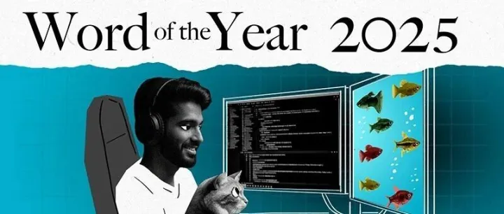 柯林斯词典2025年度词汇：Vibe Coding！