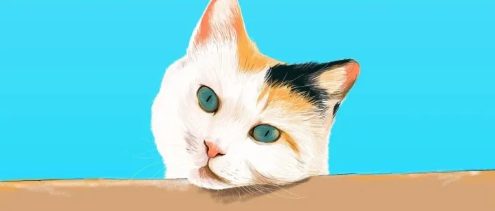 最近你的心态还好吗？