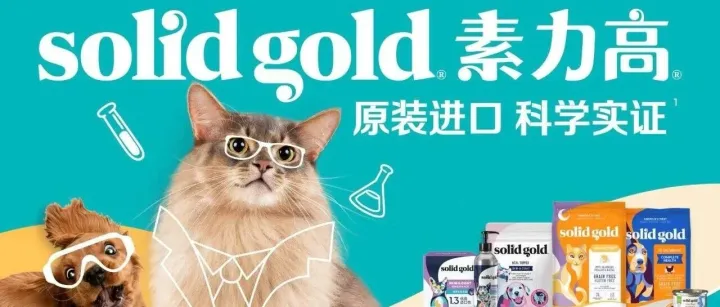 8个月GMV近3亿！素力高：一个宠物食品赛道「反内卷」破局范本！