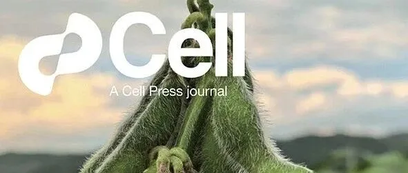 崖州湾<em>国家</em>实验室研究论文登上Cell<em>封面</em>