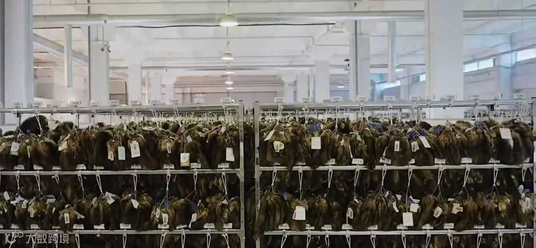 Sojuzpushnina拍卖会现场