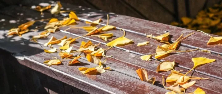 骤降10℃！杭州人赶紧准备，冷空气周末就杀到......网友：气温是坐上了过山车？