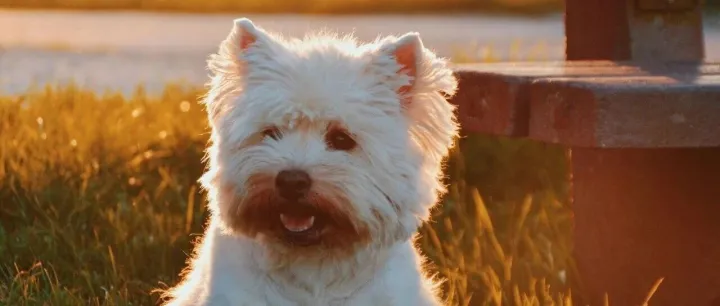 亞馬遜系統(tǒng)報(bào)錯(cuò)限制補(bǔ)貨，賣家為保爆款被迫降價(jià)