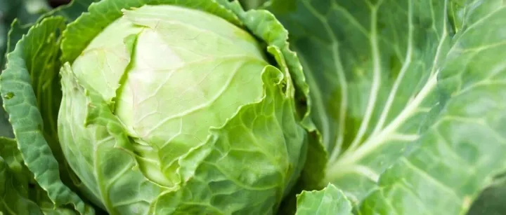 158万元，<em>数据管理平台</em>大单：软通动力中标