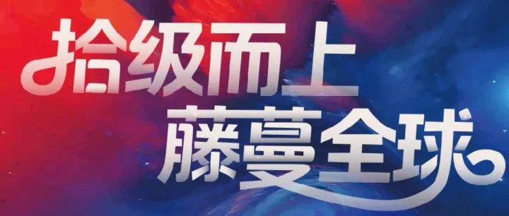 12月27日活动盛邀 | 2025-2026温州产业带跨境电商大会暨温州市跨境电子商务协会十周年