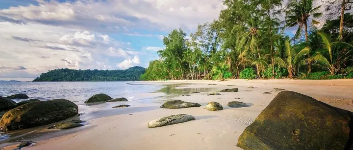 海外会议！2026亚太无纺布与卫生用品发展论坛将在越南举办