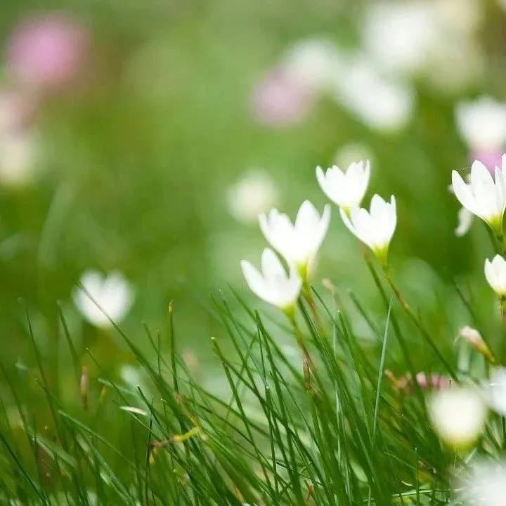 跨境人民幣業(yè)務(wù)問(wèn)答（一）